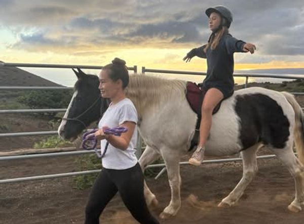 The Spirit Horse Ranch Inc