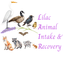 Lilac Animal Intake & Recovery