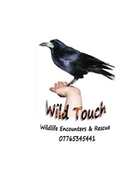 Wild Touch Wildlife Rescue