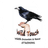 Wild Touch Wildlife Rescue