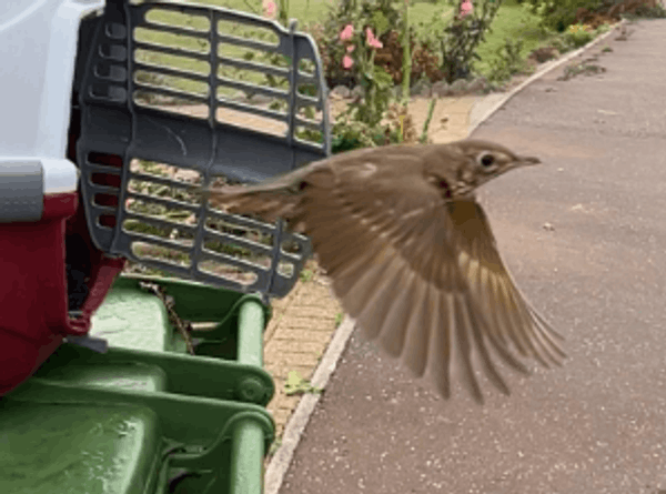 Wild Touch Wildlife Rescue