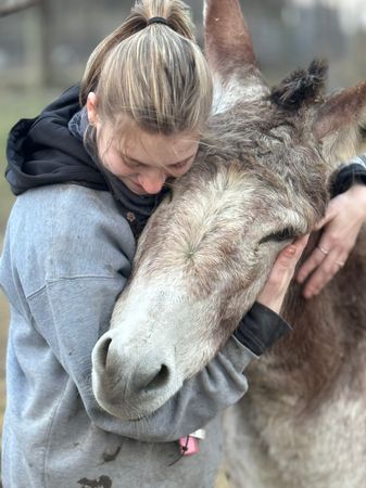 Detroit animal welfare group