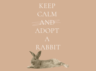 All About Rabbits Rescue, Inc.