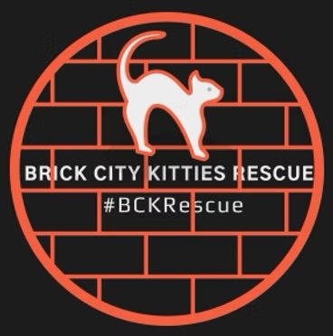 Brick City Kitties Rescue Inc