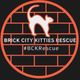 Brick City Kitties Rescue Inc