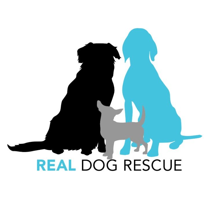 Real Dog Rescue