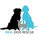 Real Dog Rescue