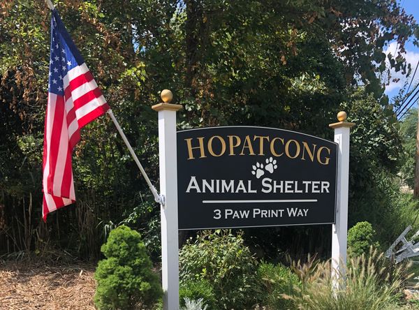 Hopatcong Animal Shelter