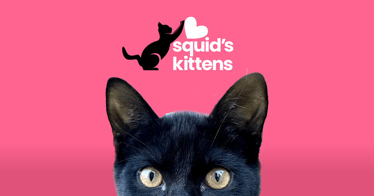 Squids Kittens