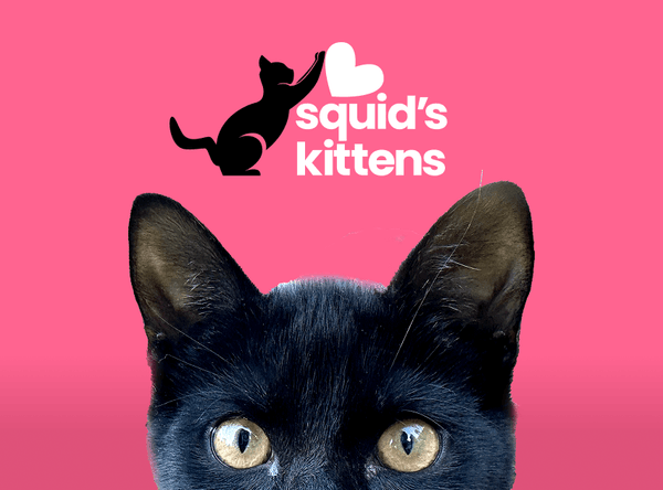 Squids Kittens