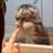 CAAT Friends