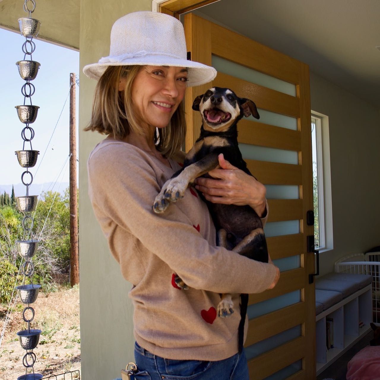 Daisy Senior Dog Foundation aka DaisyLu Ranch