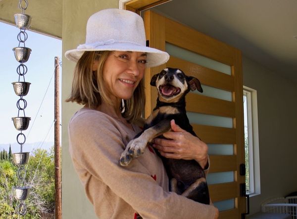 Daisy Senior Dog Foundation aka DaisyLu Ranch