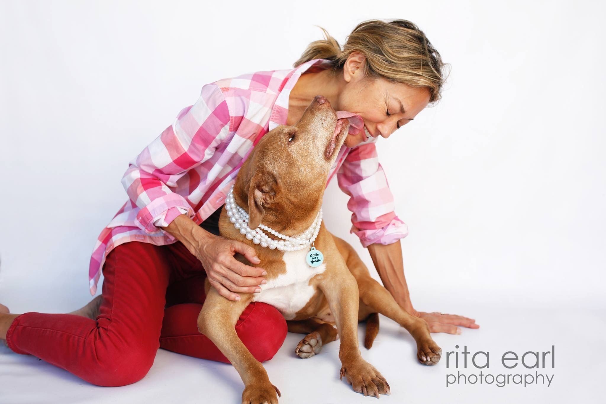 Daisy Senior Dog Foundation aka DaisyLu Ranch