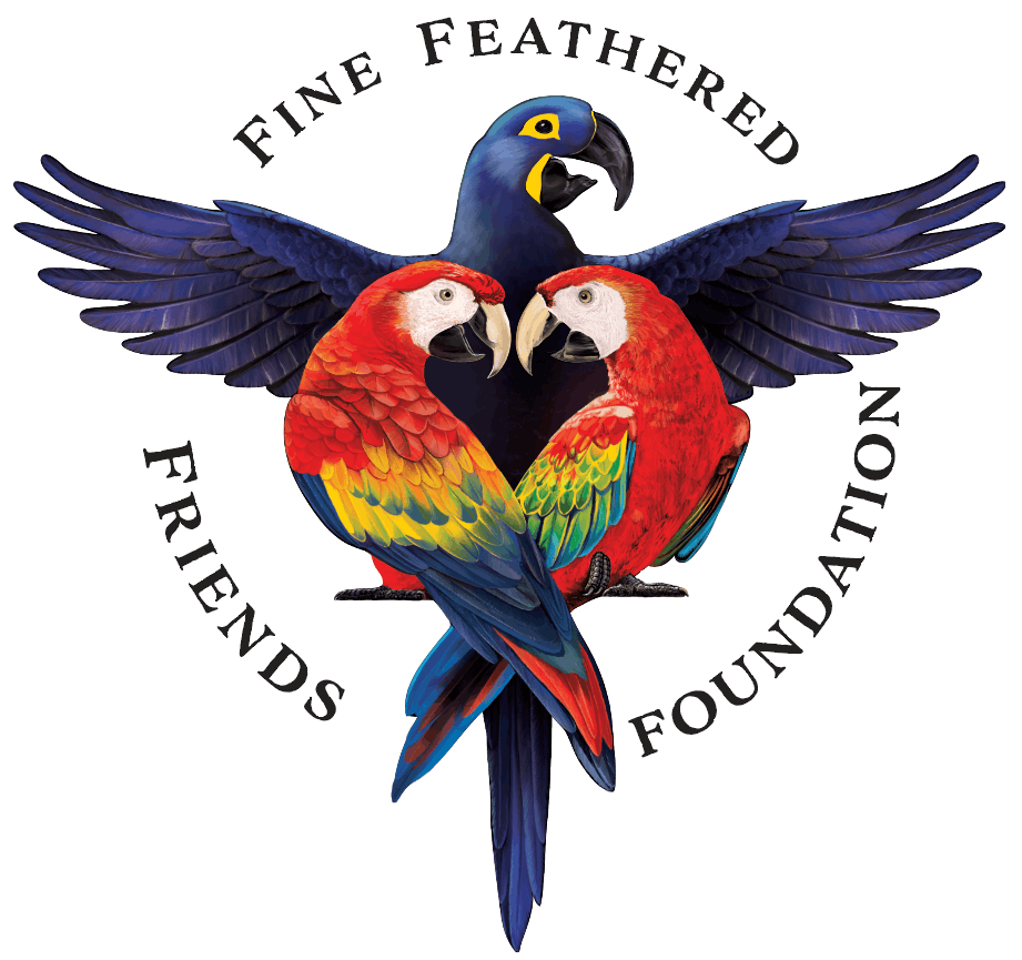 Fine Feathered Friends Foundation