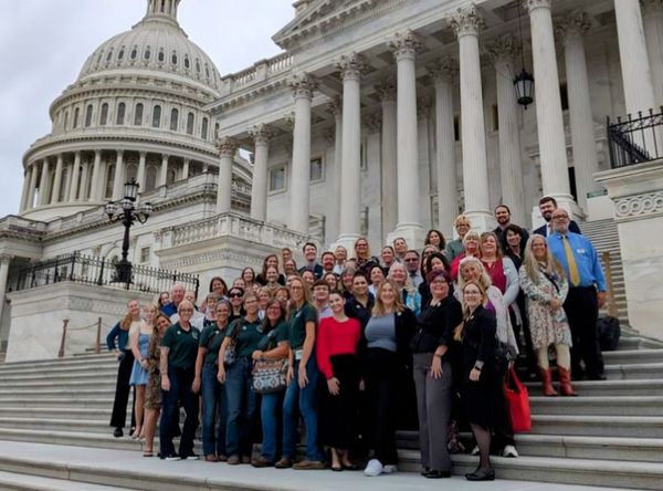 Animal Guardians Horse Rescue, Inc.