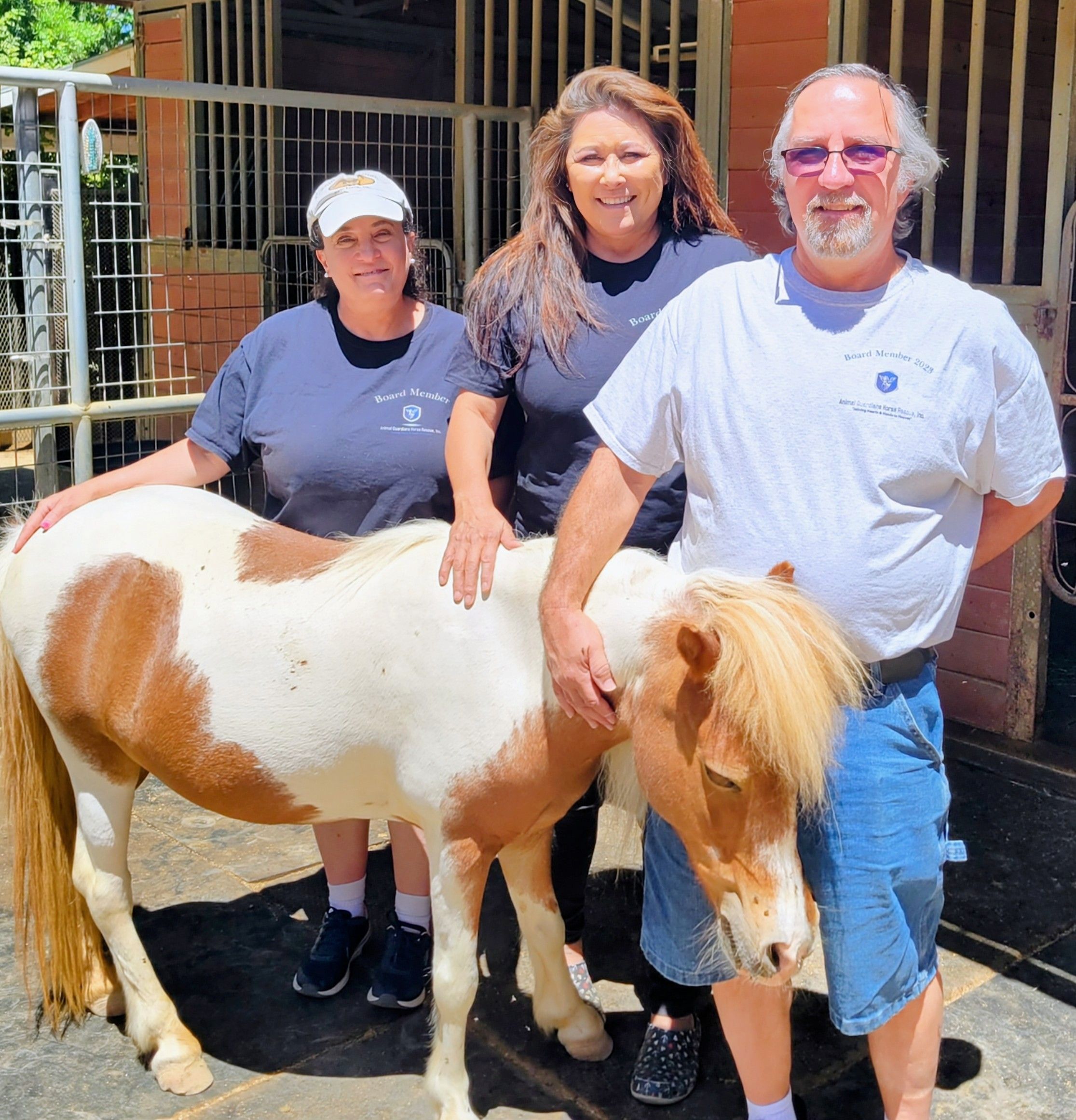Animal Guardians Horse Rescue, Inc.