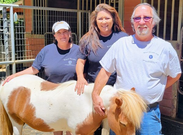 Animal Guardians Horse Rescue, Inc.