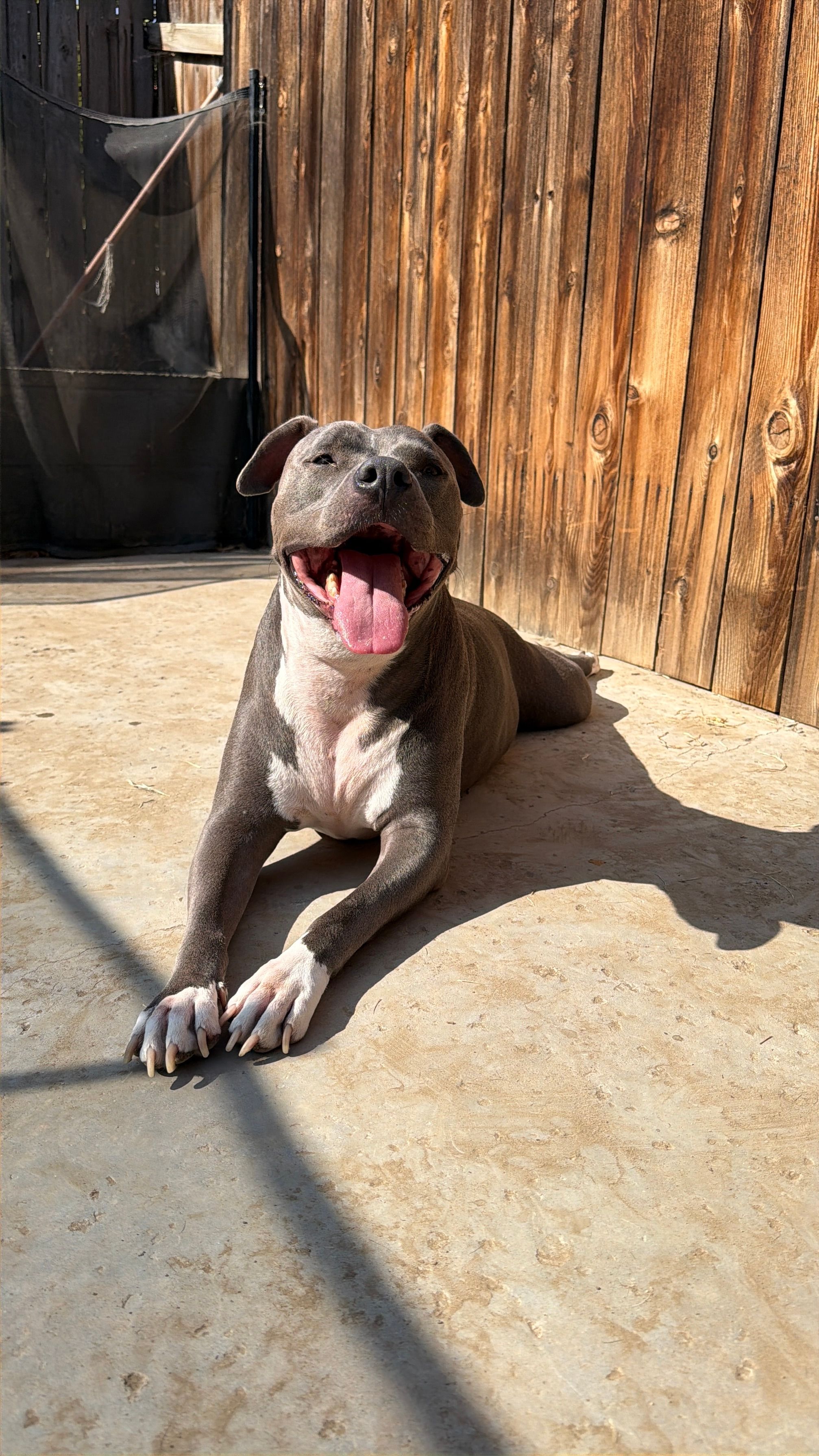 Miko’s Rescue Mission Inc.