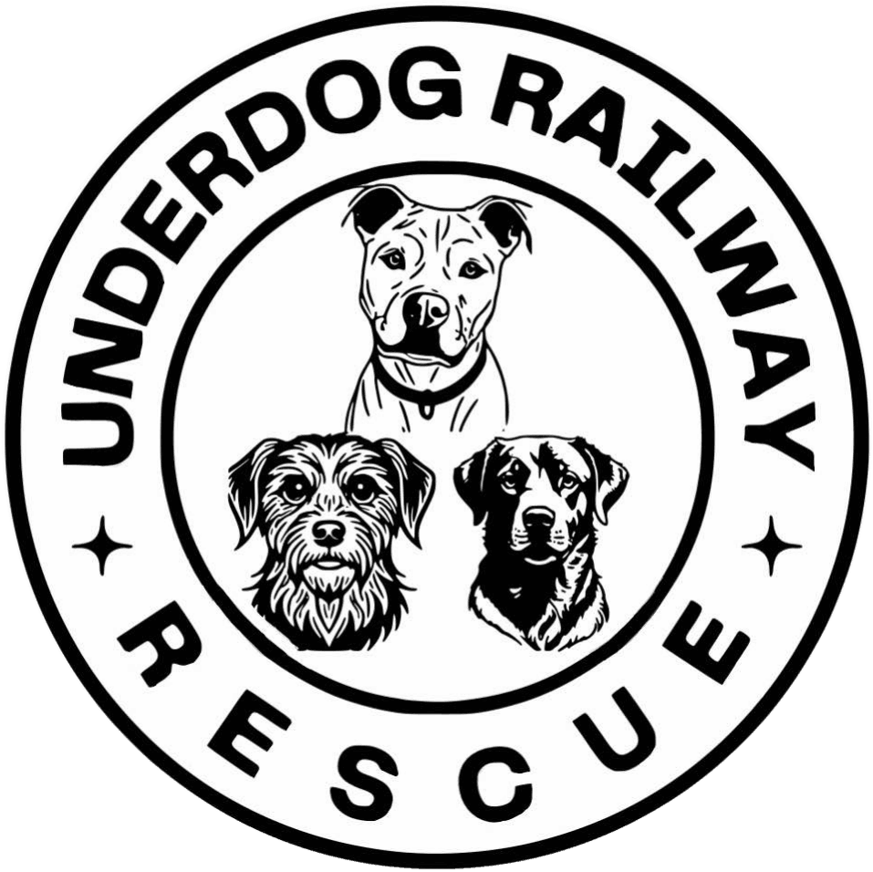 Underdog Railway Rescue