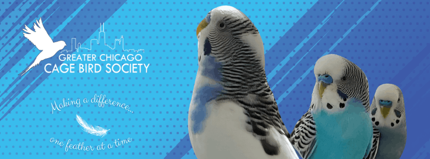 Greater Chicago Cage Bird Society
