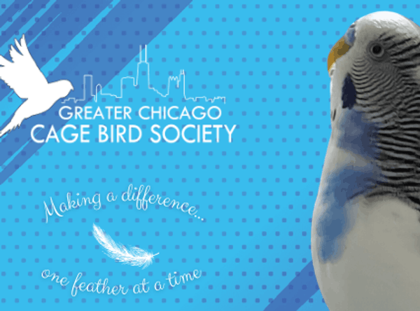Greater Chicago Cage Bird Society