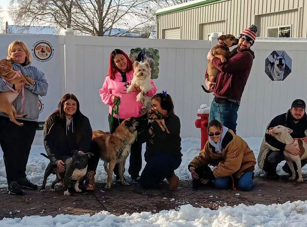 Love You More Animal Rescue