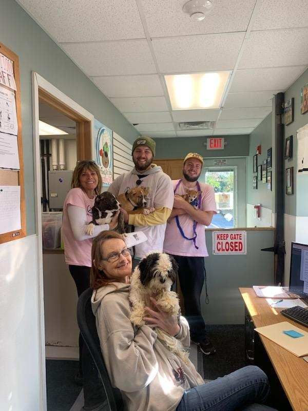 Love You More Animal Rescue