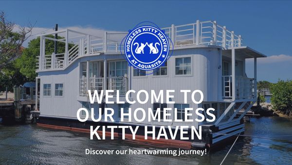 Charlie's Kitty Kat Sanctuary at Catsa Blanco Inc.