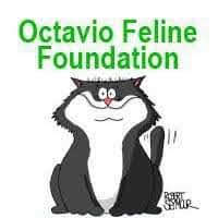 Octavio Feline Foundation
