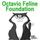 Octavio Feline Foundation