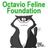 Octavio Feline Foundation