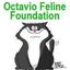 Octavio Feline Foundation