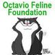 Octavio Feline Foundation