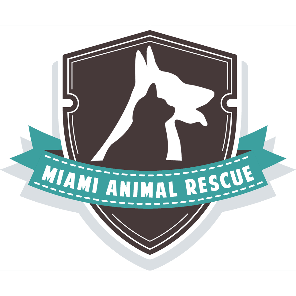 Miami Animal Rescue