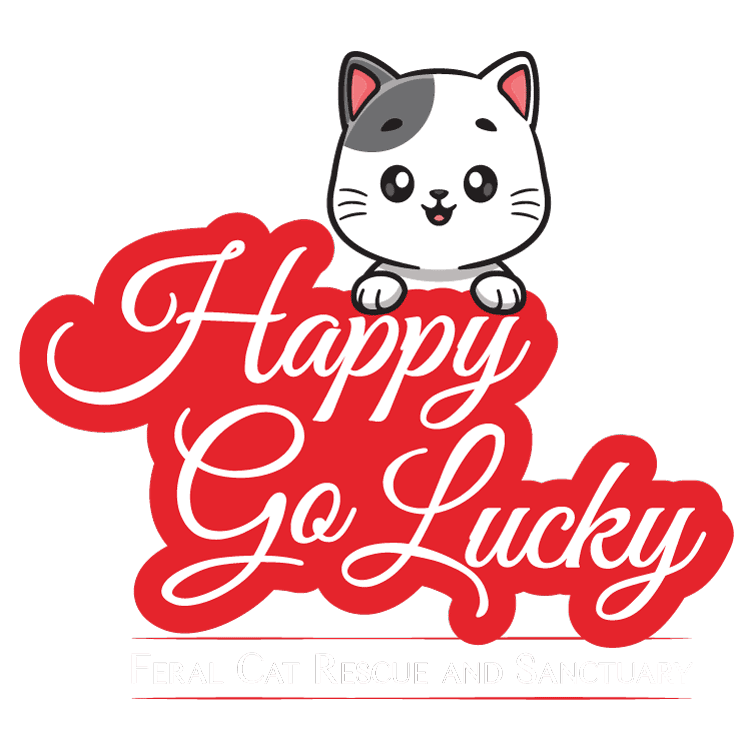 Happy Go Lucky Feral Cat Rescue Inc