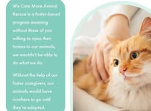 We Care More Animal Rescue