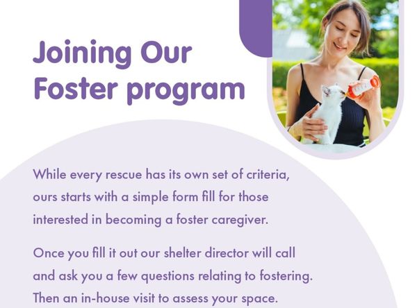 We Care More Animal Rescue