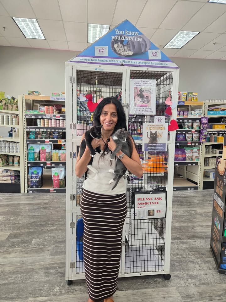 Kitty Karma of Delray, Inc.