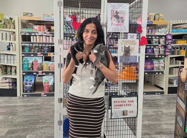 Kitty Karma of Delray, Inc.