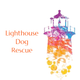 Lighthouse Dog Rescue
