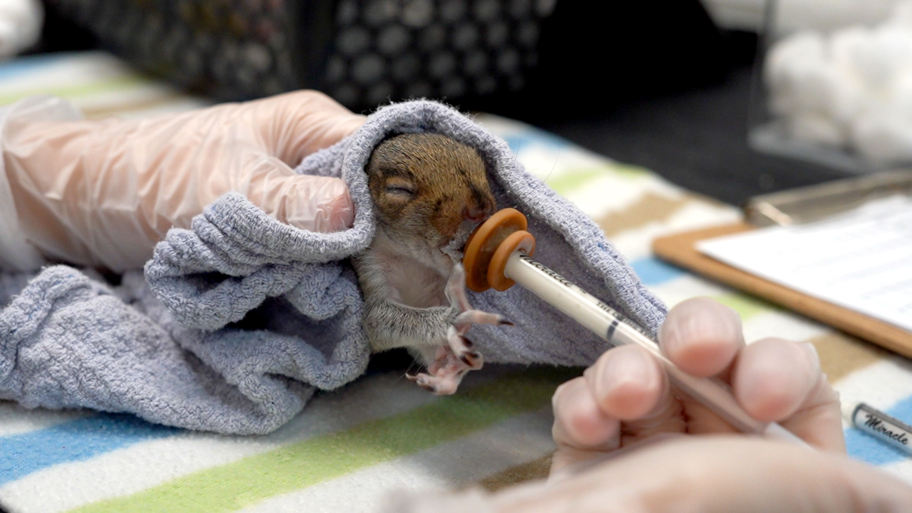 Schuylkill Center for Environmental Education