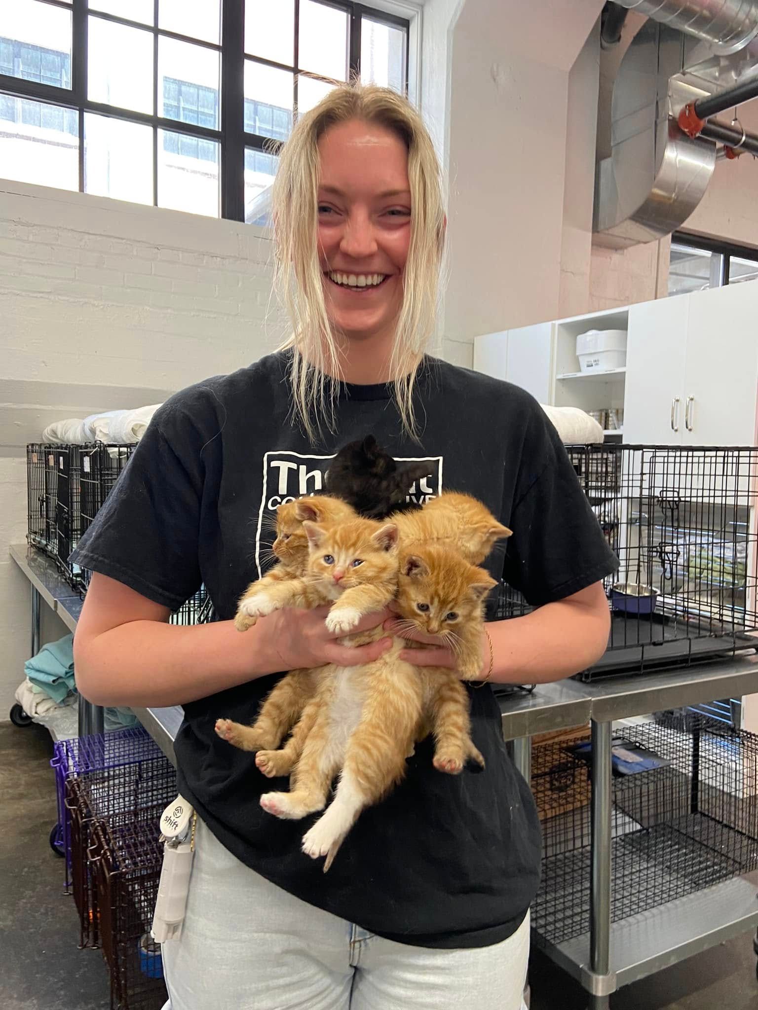 The Cat Collaborative