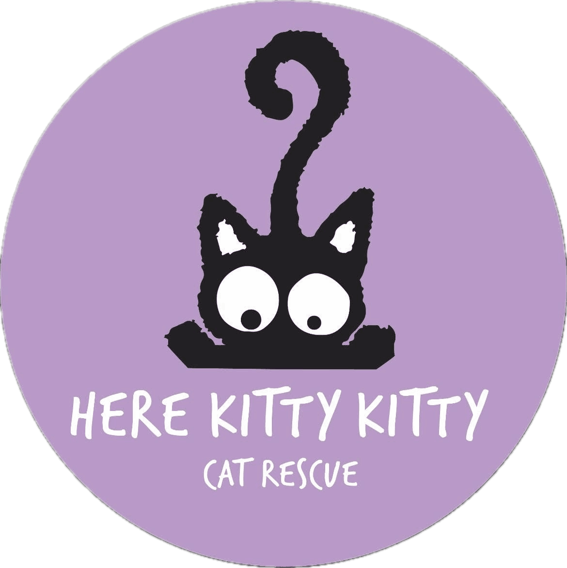 Here Kitty Kitty Cat Rescue