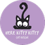 Here Kitty Kitty Cat Rescue