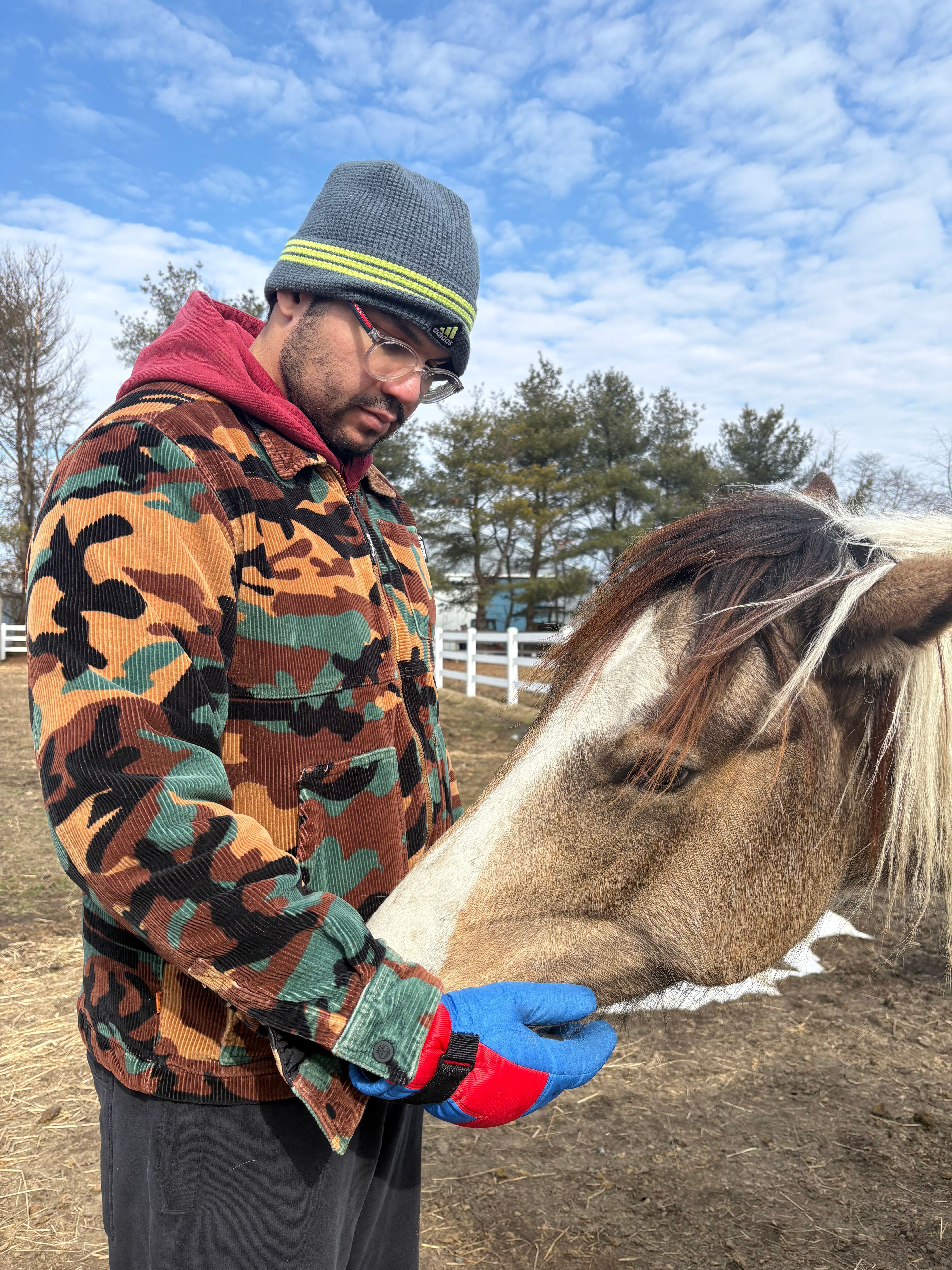 Heaven on Earth-OTTBs Rehab and Rescue