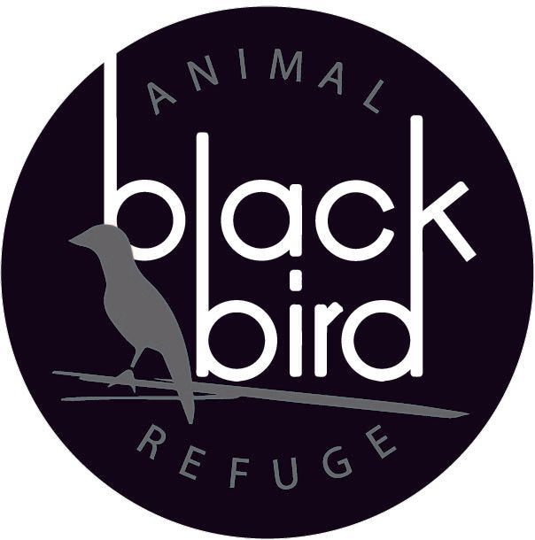 Blackbird Animal Refuge