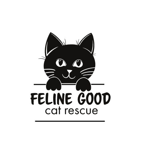 Feline Good Inc