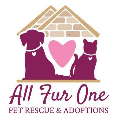 All Fur One Pet Rescue & Adoptions, Inc.