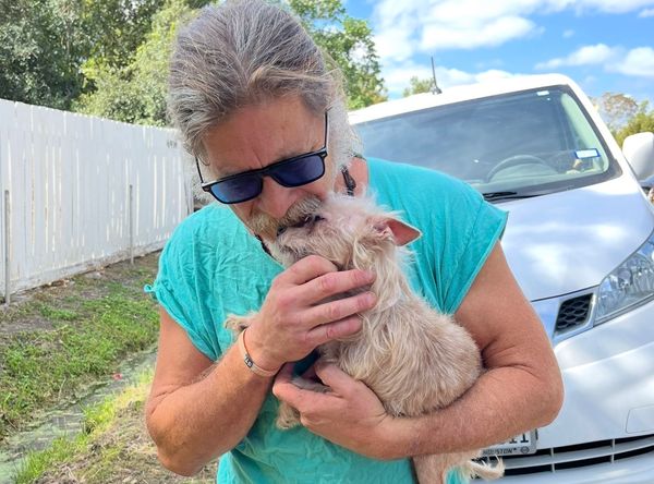 Sunnyside Street Dogs